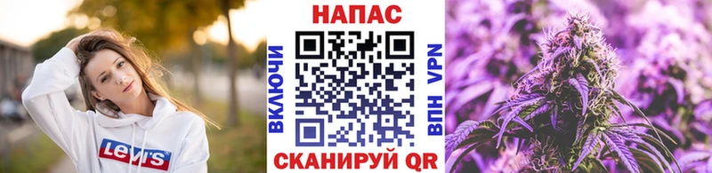 Бошки Шишки сатива  Ревда 